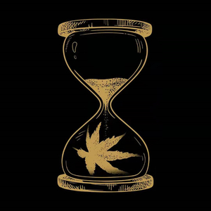 成人自拍视频网站
