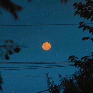 成人自拍视频网站
